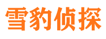 安岳市婚姻调查